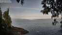 ./images/koeye/fitz-hugh/20250430/fitz-hugh20250430_080011M.jpg