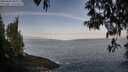 ./images/koeye/fitz-hugh/20250430/fitz-hugh20250430_080510M.jpg
