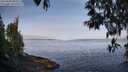 ./images/koeye/fitz-hugh/20250430/fitz-hugh20250430_083011M.jpg