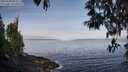 ./images/koeye/fitz-hugh/20250430/fitz-hugh20250430_083510M.jpg