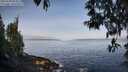 ./images/koeye/fitz-hugh/20250430/fitz-hugh20250430_084011M.jpg