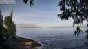 ./images/koeye/fitz-hugh/20250430/fitz-hugh20250430_084511M.jpg