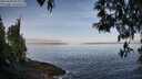 ./images/koeye/fitz-hugh/20250430/fitz-hugh20250430_085010M.jpg
