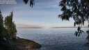 ./images/koeye/fitz-hugh/20250430/fitz-hugh20250430_085510M.jpg