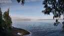 ./images/koeye/fitz-hugh/20250430/fitz-hugh20250430_090012M.jpg