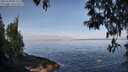 ./images/koeye/fitz-hugh/20250430/fitz-hugh20250430_091509M.jpg