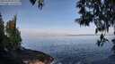 ./images/koeye/fitz-hugh/20250430/fitz-hugh20250430_092510M.jpg