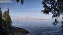 ./images/koeye/fitz-hugh/20250430/fitz-hugh20250430_094511M.jpg