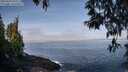 ./images/koeye/fitz-hugh/20250430/fitz-hugh20250430_095509M.jpg