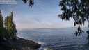./images/koeye/fitz-hugh/20250430/fitz-hugh20250430_100011M.jpg