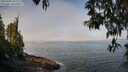 ./images/koeye/fitz-hugh/20250430/fitz-hugh20250430_101511M.jpg