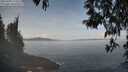 ./images/koeye/fitz-hugh/20250430/fitz-hugh20250430_112510M.jpg