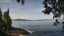 ./images/koeye/fitz-hugh/20250430/fitz-hugh20250430_113510M.jpg
