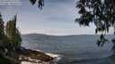 ./images/koeye/fitz-hugh/20250430/fitz-hugh20250430_114511M.jpg