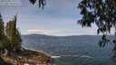 ./images/koeye/fitz-hugh/20250430/fitz-hugh20250430_115509M.jpg
