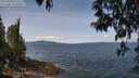 ./images/koeye/fitz-hugh/20250430/fitz-hugh20250430_120510M.jpg