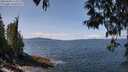./images/koeye/fitz-hugh/20250430/fitz-hugh20250430_123509M.jpg