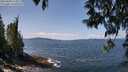 ./images/koeye/fitz-hugh/20250430/fitz-hugh20250430_124011M.jpg