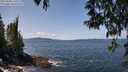 ./images/koeye/fitz-hugh/20250430/fitz-hugh20250430_125510M.jpg