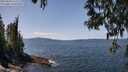 ./images/koeye/fitz-hugh/20250430/fitz-hugh20250430_131510M.jpg