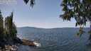 ./images/koeye/fitz-hugh/20250430/fitz-hugh20250430_133509M.jpg