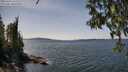 ./images/koeye/fitz-hugh/20250430/fitz-hugh20250430_141011M.jpg