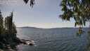 ./images/koeye/fitz-hugh/20250430/fitz-hugh20250430_142510M.jpg