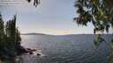 ./images/koeye/fitz-hugh/20250430/fitz-hugh20250430_145510M.jpg