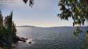 ./images/koeye/fitz-hugh/20250430/fitz-hugh20250430_150012M.jpg