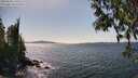 ./images/koeye/fitz-hugh/20250430/fitz-hugh20250430_150510M.jpg