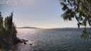 ./images/koeye/fitz-hugh/20250430/fitz-hugh20250430_151011M.jpg
