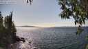 ./images/koeye/fitz-hugh/20250430/fitz-hugh20250430_151510M.jpg