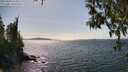 ./images/koeye/fitz-hugh/20250430/fitz-hugh20250430_152011M.jpg