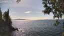 ./images/koeye/fitz-hugh/20250430/fitz-hugh20250430_153510M.jpg