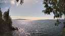 ./images/koeye/fitz-hugh/20250430/fitz-hugh20250430_155510M.jpg