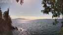 ./images/koeye/fitz-hugh/20250430/fitz-hugh20250430_160012M.jpg