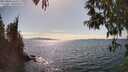 ./images/koeye/fitz-hugh/20250430/fitz-hugh20250430_160510M.jpg