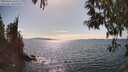 ./images/koeye/fitz-hugh/20250430/fitz-hugh20250430_161511M.jpg