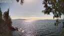 ./images/koeye/fitz-hugh/20250430/fitz-hugh20250430_162510M.jpg