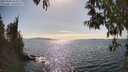 ./images/koeye/fitz-hugh/20250430/fitz-hugh20250430_163010M.jpg