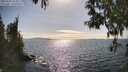 ./images/koeye/fitz-hugh/20250430/fitz-hugh20250430_164011M.jpg