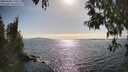 ./images/koeye/fitz-hugh/20250430/fitz-hugh20250430_170510M.jpg