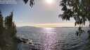 ./images/koeye/fitz-hugh/20250430/fitz-hugh20250430_171010M.jpg
