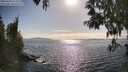 ./images/koeye/fitz-hugh/20250430/fitz-hugh20250430_171511M.jpg