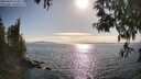 ./images/koeye/fitz-hugh/20250430/fitz-hugh20250430_173013M.jpg