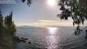 ./images/koeye/fitz-hugh/20250430/fitz-hugh20250430_173511M.jpg