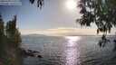 ./images/koeye/fitz-hugh/20250430/fitz-hugh20250430_174511M.jpg