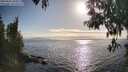 ./images/koeye/fitz-hugh/20250430/fitz-hugh20250430_180013M.jpg