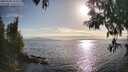 ./images/koeye/fitz-hugh/20250430/fitz-hugh20250430_181011M.jpg