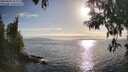 ./images/koeye/fitz-hugh/20250430/fitz-hugh20250430_181510M.jpg